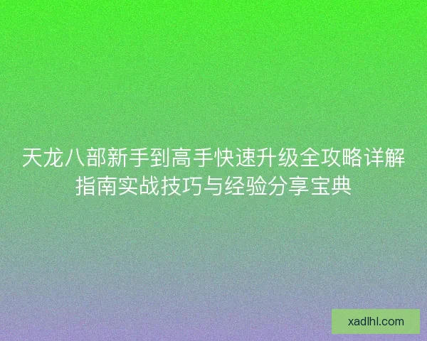 天龙八部新手到高手快速升级全攻略详解指南实战技巧与经验分享宝典